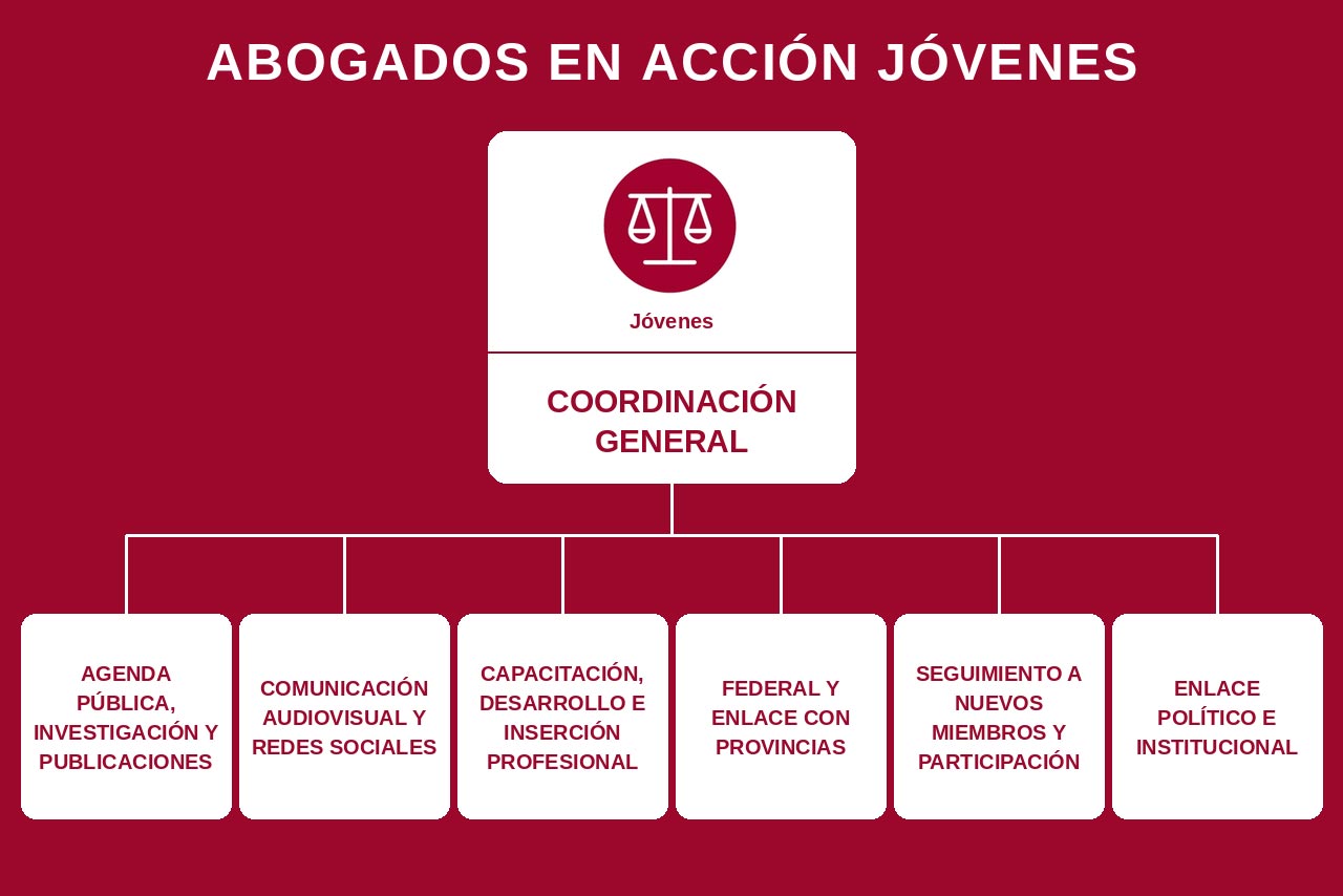 Organigrama AeA Jóvenes